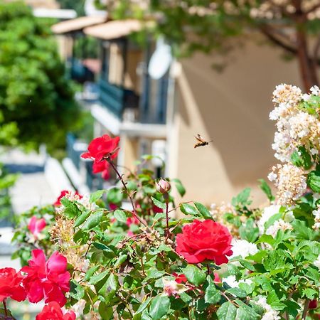 Apart Hotel Blumarin Агиос Гордиос Екстериор снимка